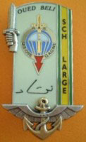 24/03/71 - Sergent-Chef Christian LARGE  (Cadre de l'Armée Tchadienne en AMT)
